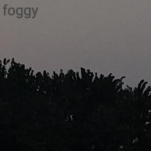 Foggy