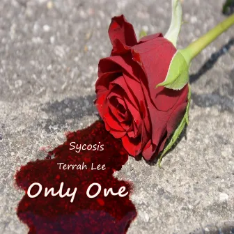 Only One (feat. Terrah Lee) by Sycosis