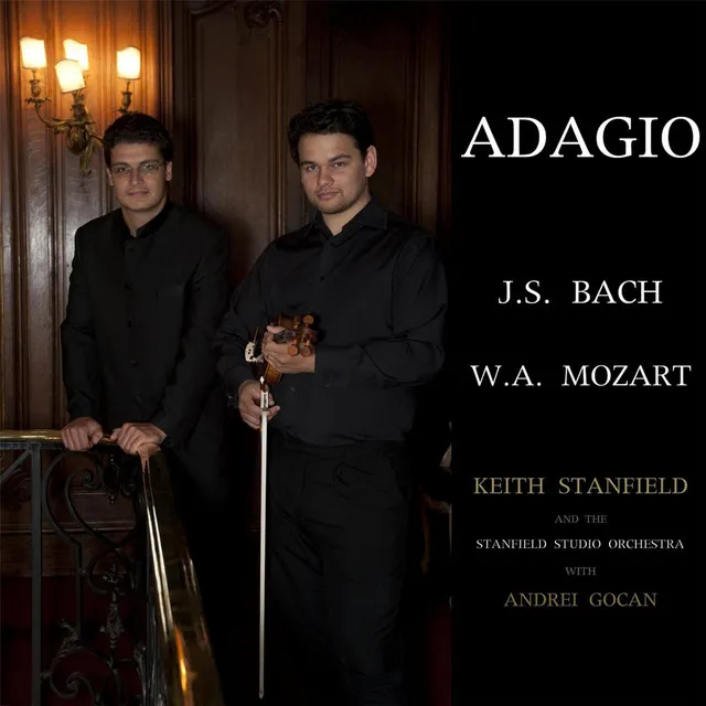 Violin Concerto No. 3 in G Major, K. 216: II. Adagio