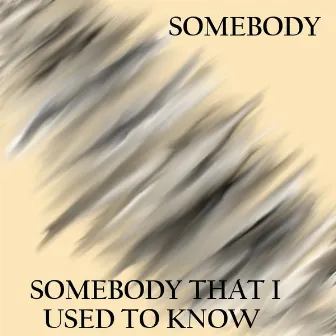 Somebody That I Used to Know by Somebody