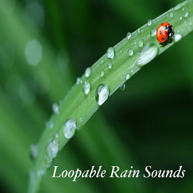 Loopable Rain