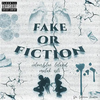 FAKE OR FICTION by ColourBlue Leland