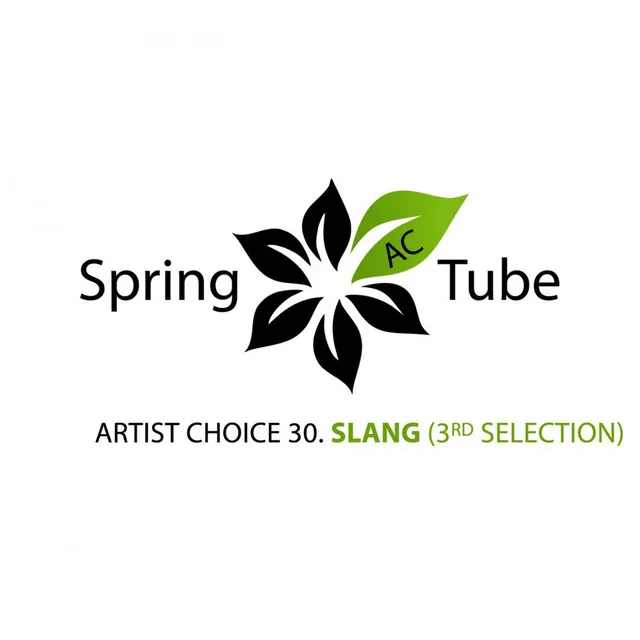 Artist Choice 030. Slang (3rd Selection) - Continuous DJ Mix