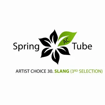 Artist Choice 030. Slang (3rd Selection) by Dj SlanG