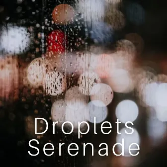 Droplets Serenade by Recorder Rain