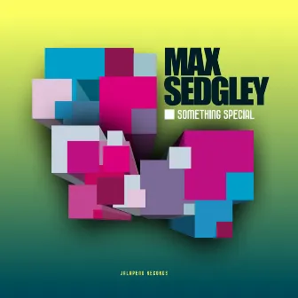 Something Special by Max Sedgley