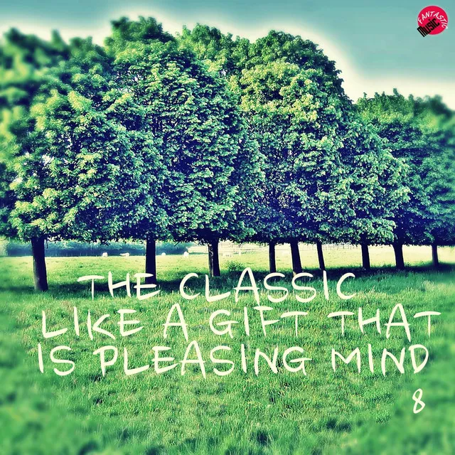 The Classic Like a Gift That is Pleasing Mind 8