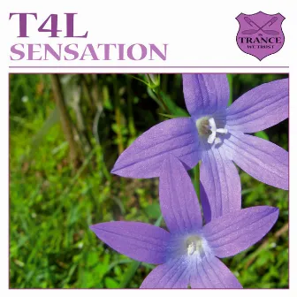 Sensation by T4L