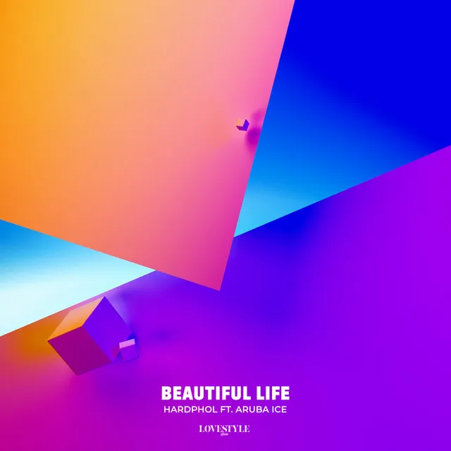 Beautiful Life