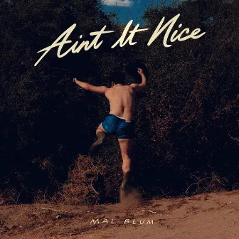 Ain't It Nice by Mal Blum