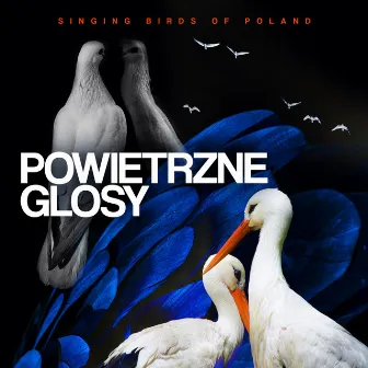 Powietrzne Głosy by Singing Birds of Poland