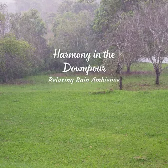 Harmony in the Downpour: Relaxing Rain Ambience by About A Sudden Rainstorm