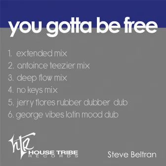 You Gotta Be Free by Steve Beltran