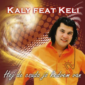 Hej De Csuda Jó Kedvem Van by Kaly