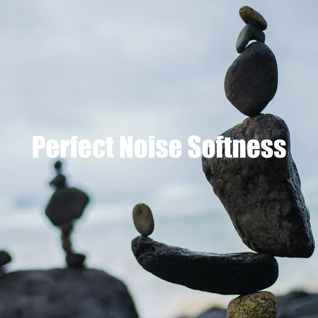 Perfect Noise Softness