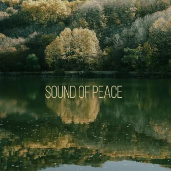 Sound Of Peace by Restful Peace