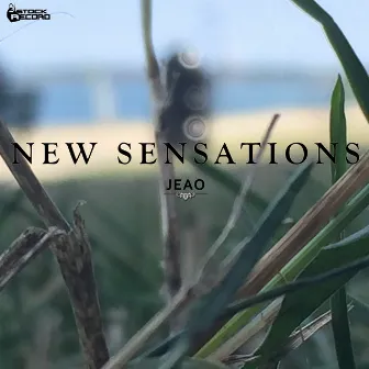 New Sensation by Jeao