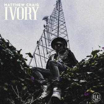 Ivory by Matthew Craig