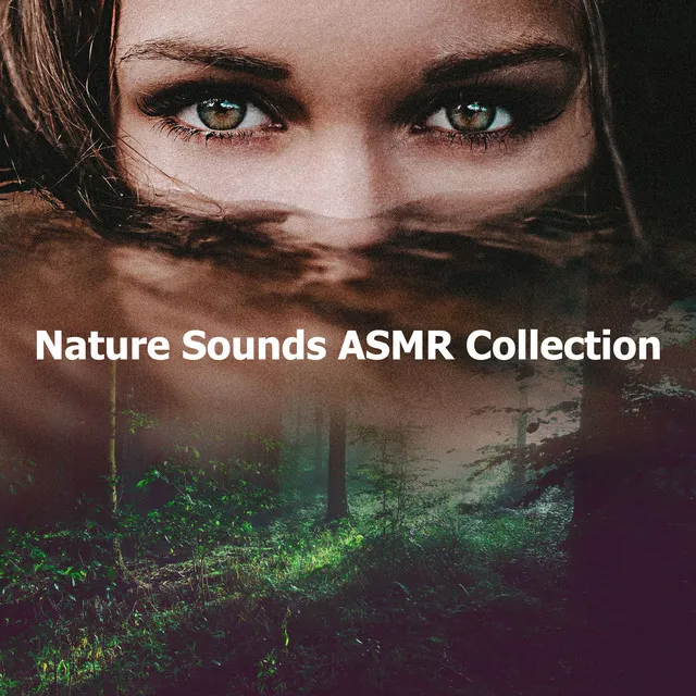 Nature Sounds ASMR Collection