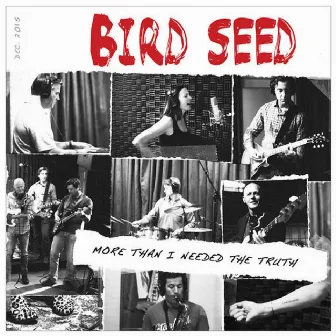 More Than I Needed the Truth by Birdseed