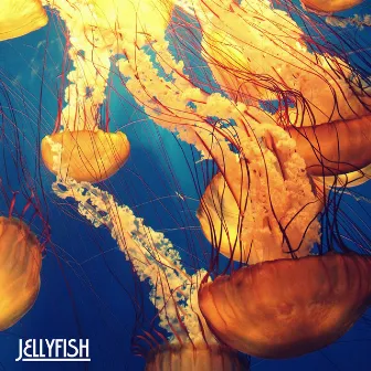 Jellyfish by Andrea Barone