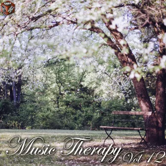 Music Therapy, Vol. 12 by 