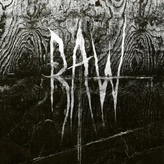 From the First Glass to the Grave by Raw