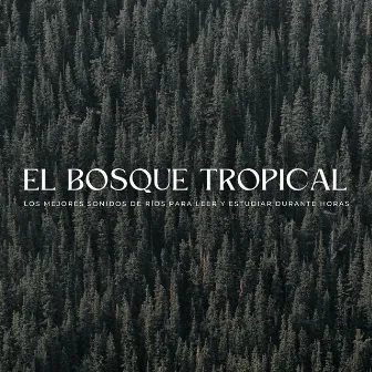 El Bosque Tropical: Los Mejores Sonidos De Ríos Para Leer Y Estudiar Durante Horas by La fuga del bosque