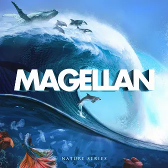 Nature Series: Magellan by Yasuhisa Inoue