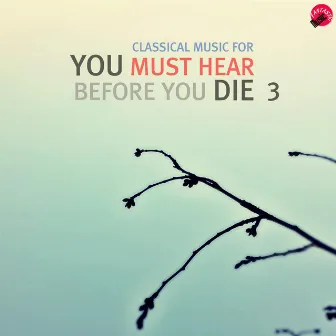 Classical music for You Must Hear Before You Die 3 by Bucket Classic