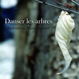 Danser les arbres (Nature en mouvement) by Alain Audet