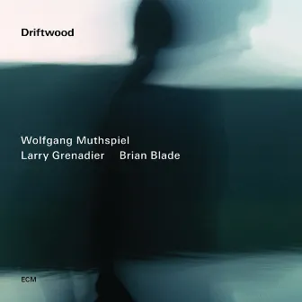 Driftwood by Wolfgang Muthspiel