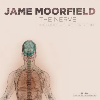 The Nerve by Jame Moorfield