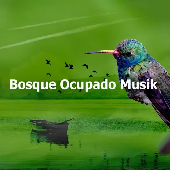 Bosque Ocupado Musik by Bosque Ocupado