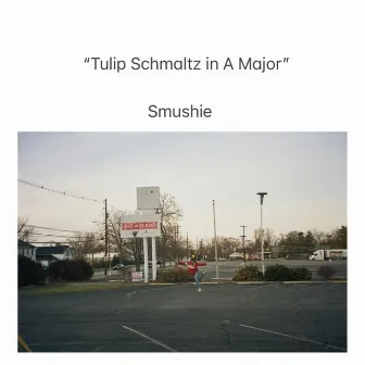 Tulip Schmaltz in A Major by Smushie