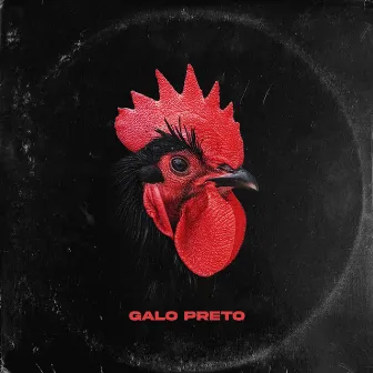 Galo Preto by Bova