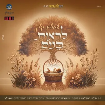 לראות בנים by שמוליק קליין