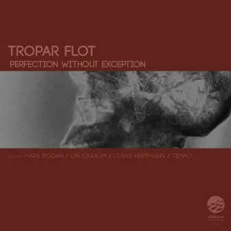 Perfection Without Exception by Tropar Flot