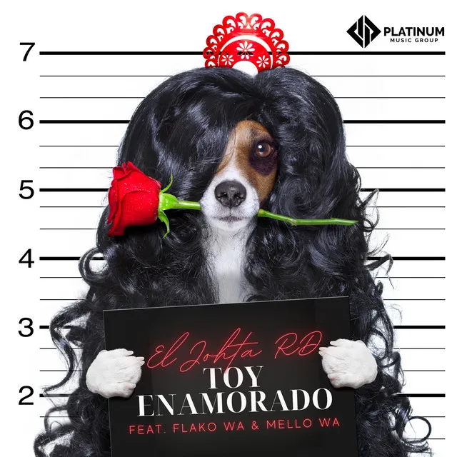 Toy Enamorado