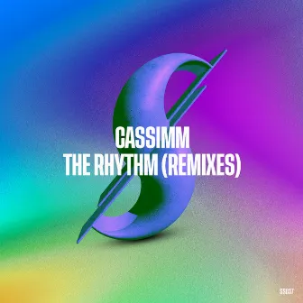 The Rhythm (Remixes) by Unknown Artist