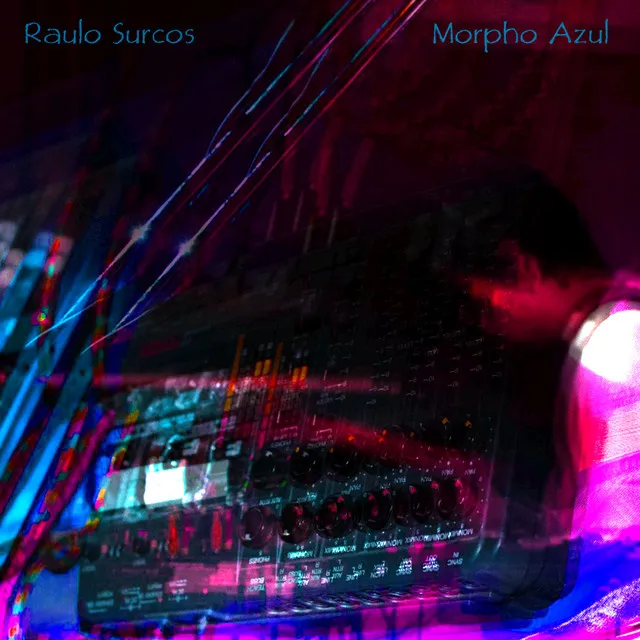 Morpho Azul - Live