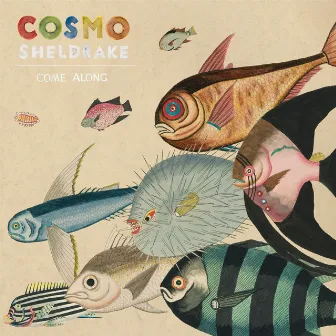 Come Along (Edit) by Cosmo Sheldrake