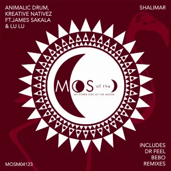 Shalimar (Bebo Remix) by Animalic Drum