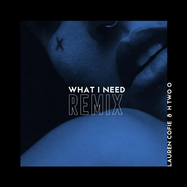 What I Need Remix - Radio Edit