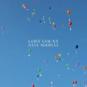 Lost Count by Dave Noodlez