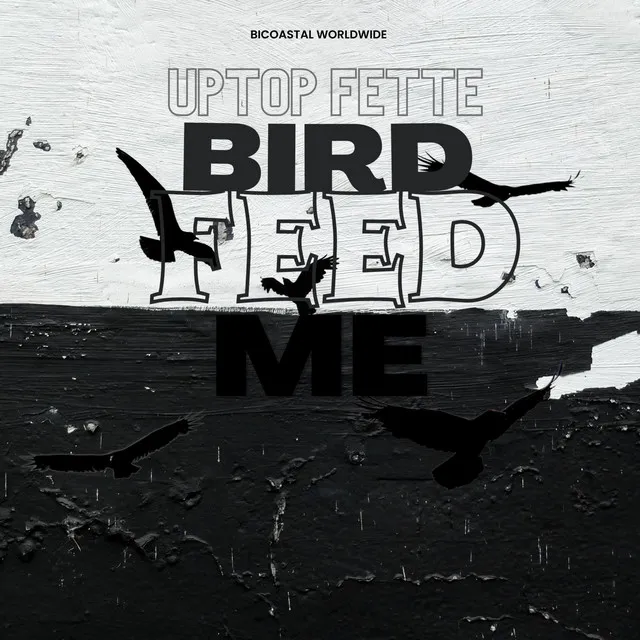 Bird Feed Me