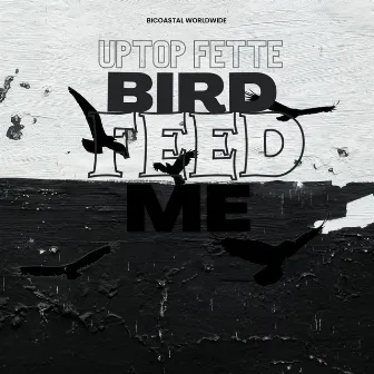 Bird Feed Me by Uptop Fette