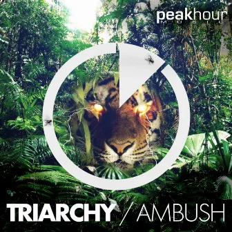 Ambush by Triarchy