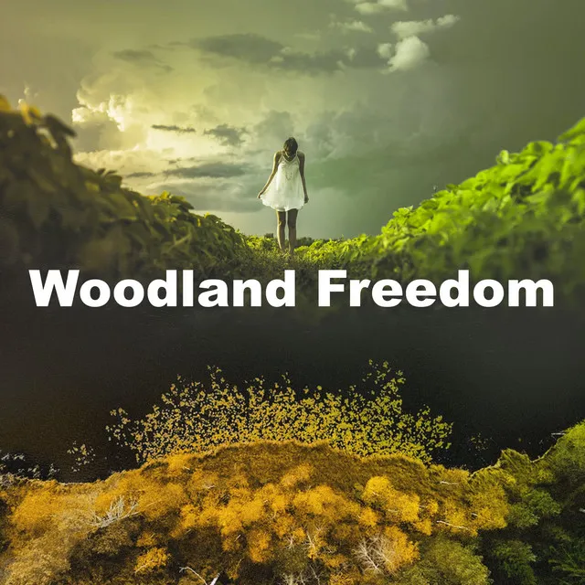 Woodland Freedom