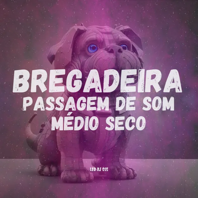 Bregadeira Passagem de Som Médio Seco